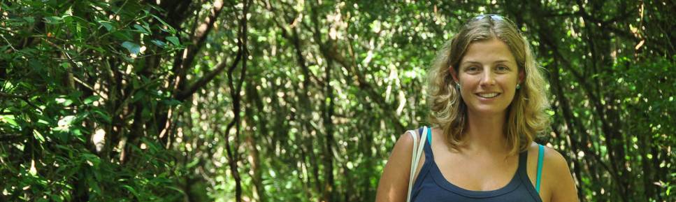 Nas trilhas da Ilha do Mel, no litoral do Paraná